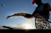 18/04/2017 - Pescadores participam de seminário de projeto liderado pela Embrapa 